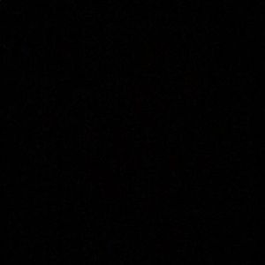 Meet your Posher, Tabitha